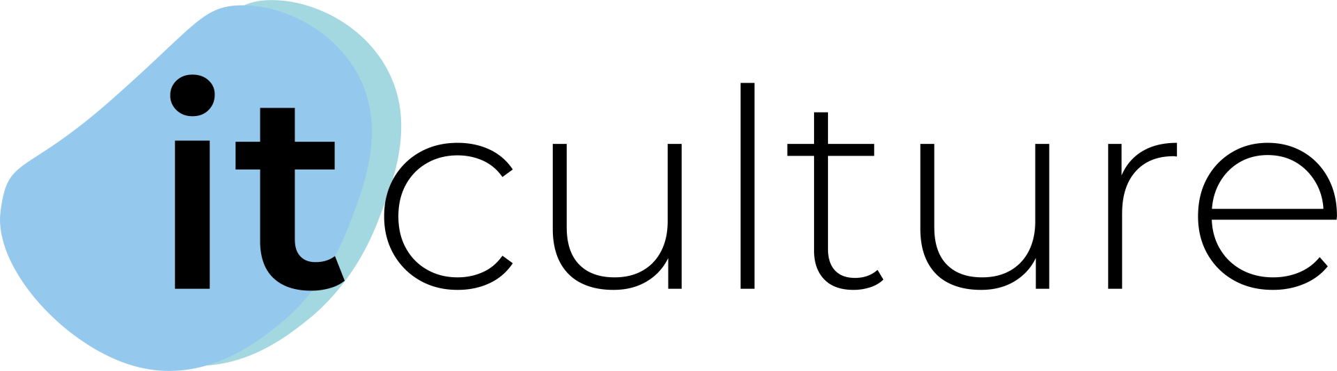 IT Culture GmbH